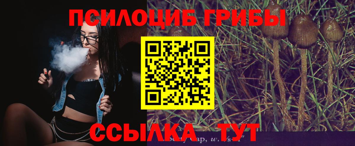 Галлюциногенные грибы MAGIC MUSHROOMS  Вход с VPN  Салехард 